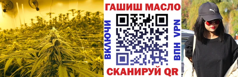 ссылка на мегу купить сайты Кубинка ТГК жижа